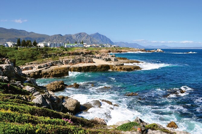 From Cape Town: Full Day Guided Hermanus and Whale Tour - Kloof Top Pathways: Shore-Based Whale Watching That Can Be Very Close
