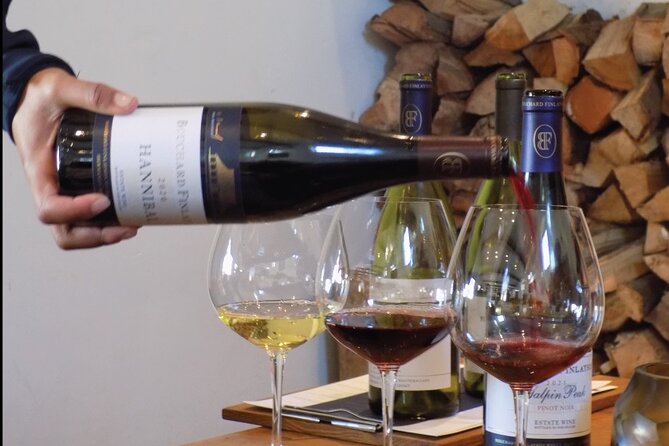 From Cape Town: Full Day Guided Hermanus and Whale Tour - Wine Village Hermanus: Urban Wine Tasting With Hemel-en-Aarde Roots