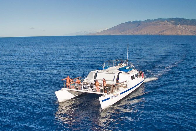 From Ma'alaea Harbor, Maui: Whale Watch Cruise Aboard Malolo - Hydrophones and the crew narrative (the included wow factor)
