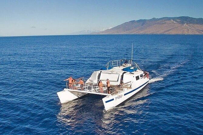 From Ma'alaea Harbor: Sunset Whale Watch Tour Aboard the Malolo - Key things I’d zero in on