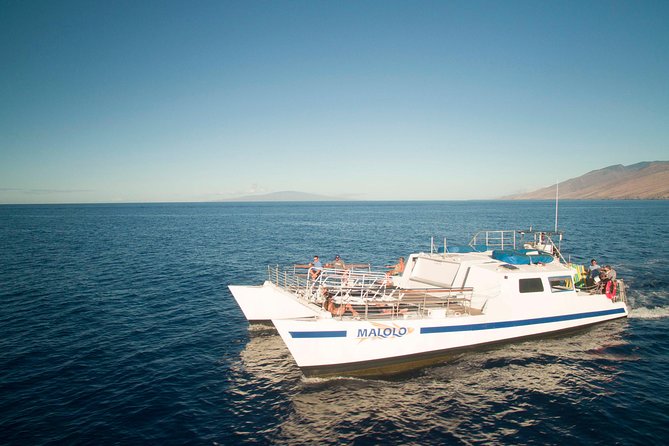 From Ma'alaea Harbor: Whale Watch Cruise Aboard the Malolo - Who this tour fits best (and who should rethink it)