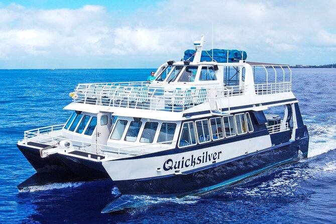 From Maalaea: Whale Watching Tour Aboard the Quicksilver - Key Points to Know Before You Go
