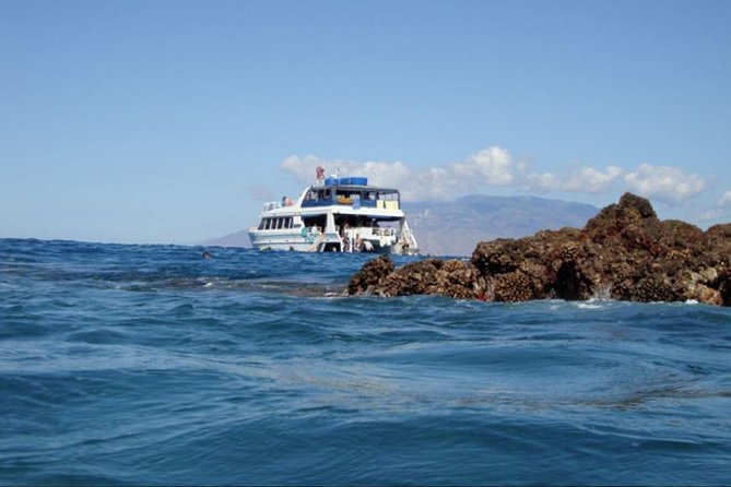 From Maalaea: Whale Watching Tour Aboard the Quicksilver - Price and Value: What $49.95 Buys You on the Water