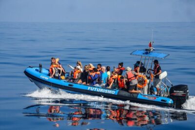 From Ponta Delgada: Whale and Dolphin Watching Trip - Choosing between catamaran comfort and Zodiac thrills