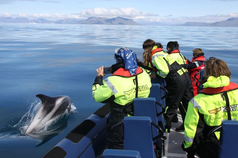 From Reykjavik: Whale Watching Tour by Speedboat - Getting on the RIB in Reykjavík’s Old Harbor