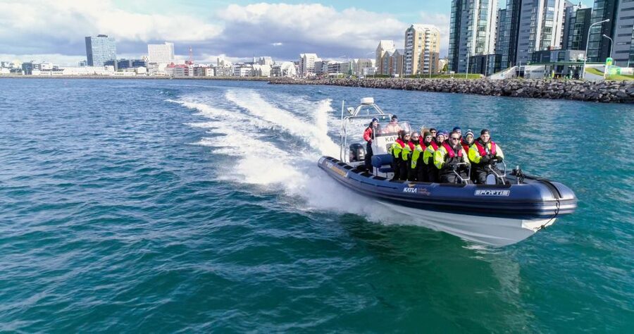 From Reykjavik: Whale Watching Tour by Speedboat - The 2-hour Cruise: What the Timing Really Feels Like