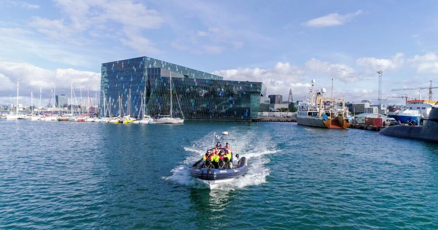 From Reykjavik: Whale Watching Tour by Speedboat - Should You Book Katla’s Rigid Inflatable Whale Tour?