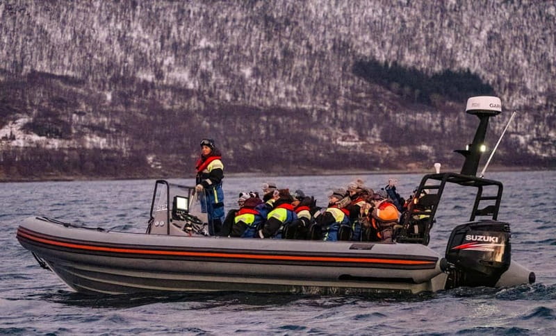 From Tromso: Whale Watching in Magic Skjervoy - Fjord Views in Winter Light: how to get good photos without fighting the suit