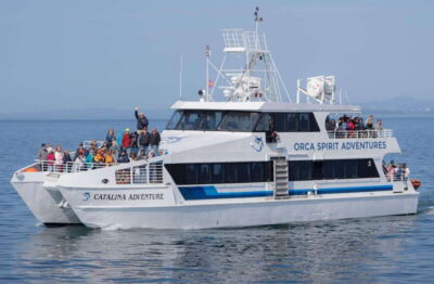 From Victoria: Whale Watching Trip on Covered Boat - What 3 Hours Really Means: How The Salish Sea Search Plays Out