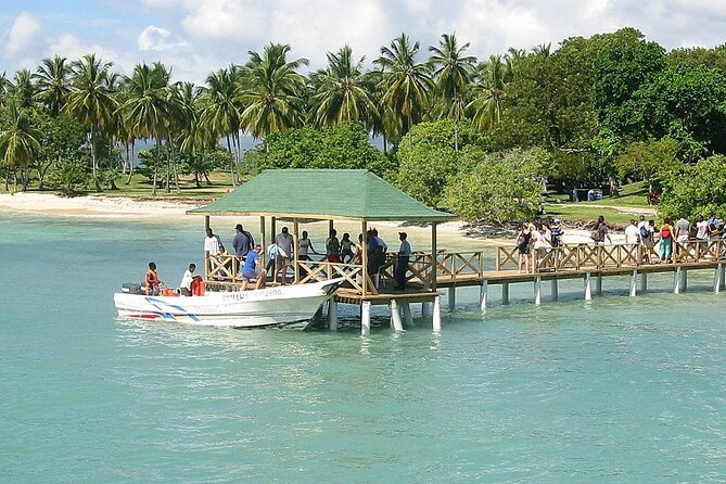 Full Day Bacardi Whale Watching - End Season March 30th - Price and value: is $165 really buying you something?