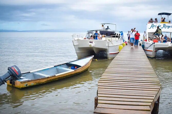 Full Day Bacardi Whale Watching - End Season March 30th - End-season timing: March 30 is the whale cutoff