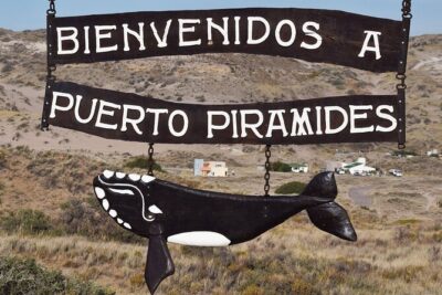 Full Day Peninsula Valdes Experience - optional Whale Watching - Stop 1: Centro de Visitantes Istmo Ameghino for Gulf and Bird Island Views