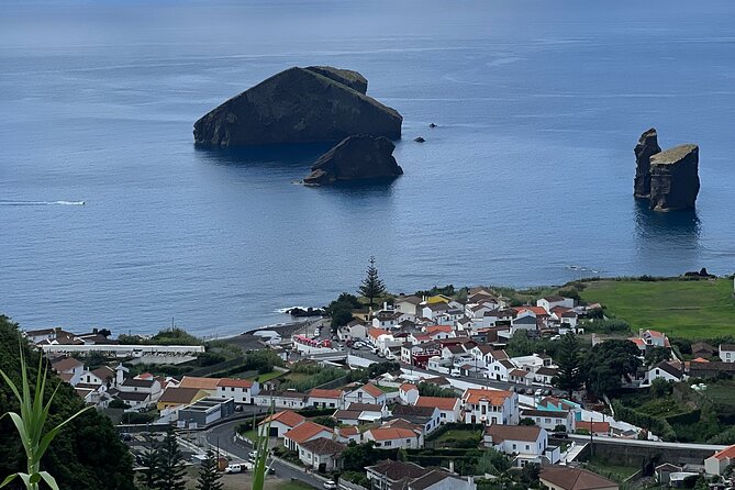 Full Day Sete Cidades with Whale Watching at Mosteiros - Price and what you’re really paying for (up to 6 people)