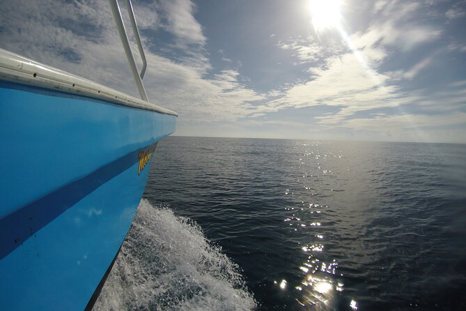 Full-Day Whale Shark Tour Puerto Morelos with Pickup and Lunch - Isla Mujeres at Playa Norte: Lunch on the Water and a Break from the Boat