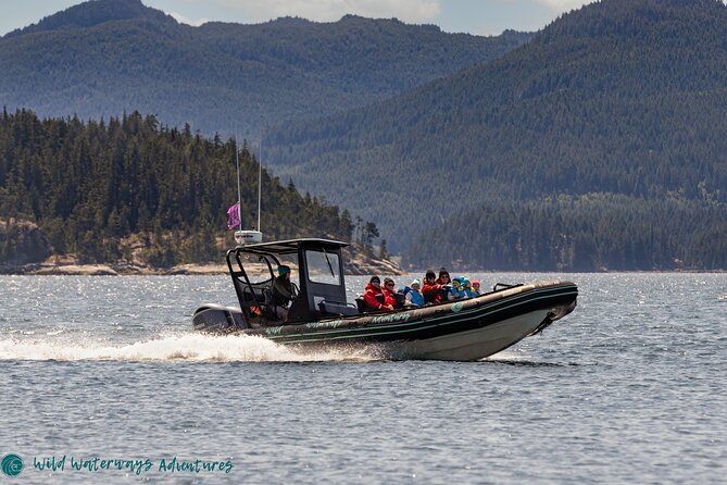 Full Day Whale Watching Campbell River - Where Desolation Sound and the Discovery Islands Fit Into Whale Country