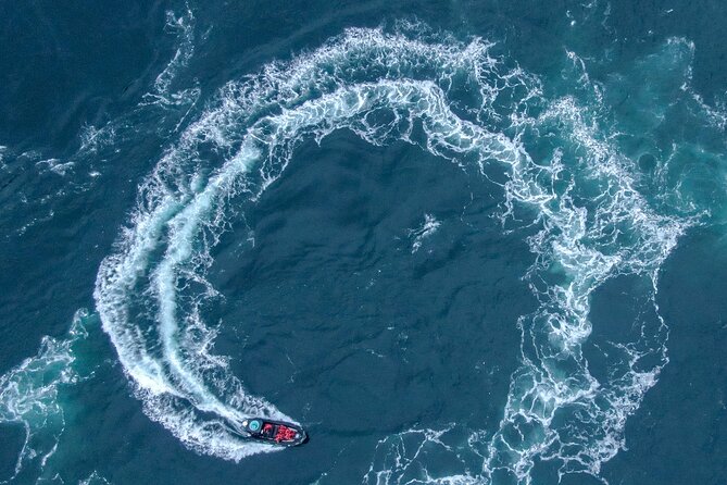 Full Day Whale Watching Campbell River - Who This Tour Fits Best (and Who Might Want Another Option)