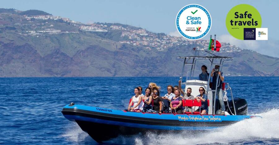 Funchal: Dolphin and Whale Watching Cruise - Sea Safari Speedboat: why the rebuilt 2023 boat matters