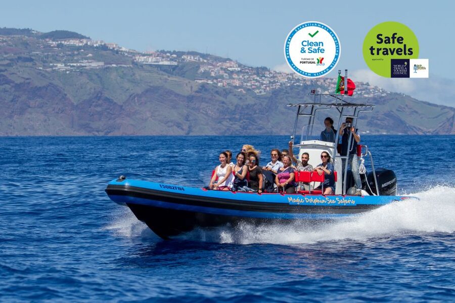 Funchal: Dolphin and Whale Watching Cruise - Offshore search with marine biologist spotting (binoculars matter)