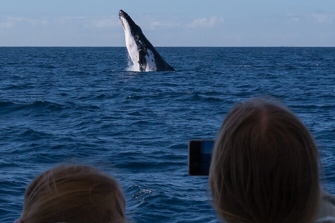 Gold Coast Whale Watching Cruise - First impression at Kokomo Cruises: small-boat energy