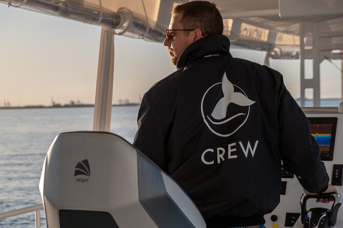 Gold Coast Whale Watching Cruise - Whale sightings: what to expect in the real world