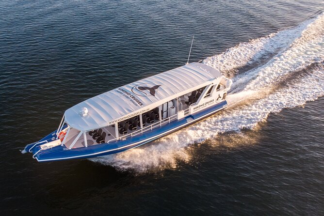Gold Coast Whale Watching Cruise - Comfort tips that show up in reviews