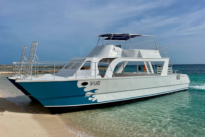 Grand Turk: Whale Watching - The Marine Biologist + Hydrophone: Learning That Makes the Sighting Stick