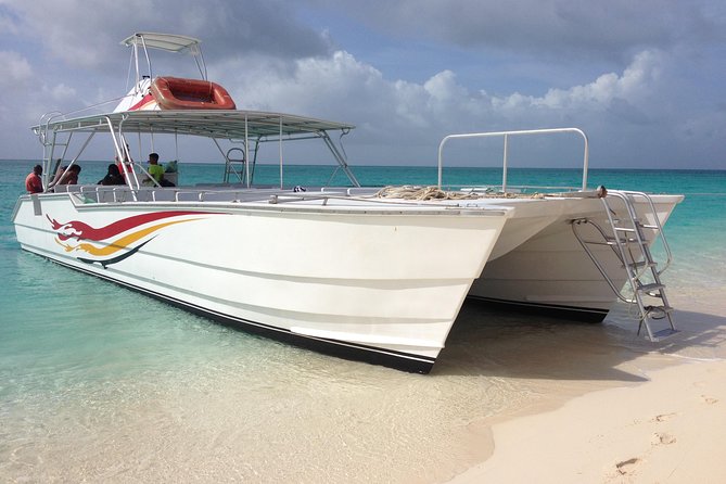 Grand Turk: Whale Watching - Meeting Point and Timing: Easy for Cruise Days, Straightforward for Day Trips