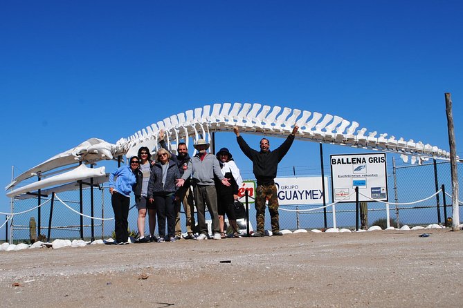 Gray Whale-Watching 2-Day Experience in Magdalena Bay - Overnight in Lopez Mateos: simple rooms, real community, good food