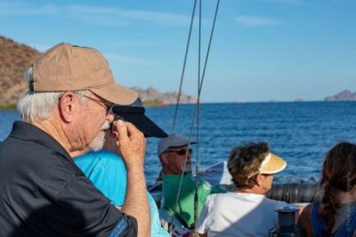 Gray Whale Watching Tour at Lopez Mateos - Panga boat time in the Pacific: why the vessel choice matters