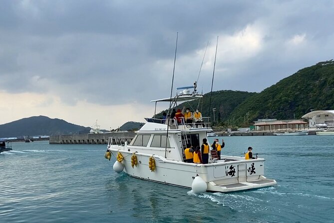 Great Whale Watching at Kerama Islands and Zamami Island - At the Whale Spot: 360-Degree Watching Without Stress