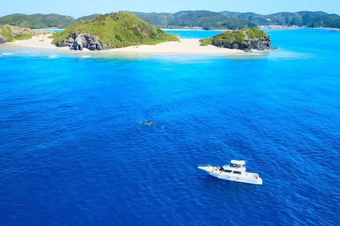 Great Whale Watching at Kerama Islands and Zamami Island - How the Timing Works: From Naha to Zamami Port