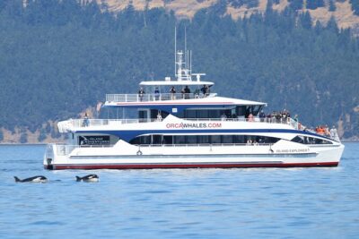 Guaranteed Whale Watch Tour from Anacortes - What you might see: orcas first, then the rest of the marine menu
