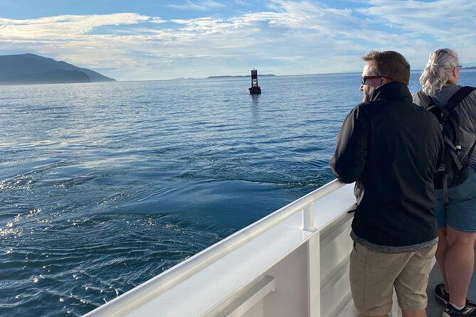 Guaranteed Whale Watch Tour from Anacortes - Naturalists on board: explanations you can use while you watch