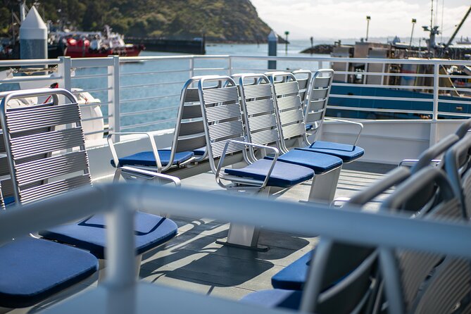 Guaranteed Whale Watch Tour from Anacortes - Booking and timing: how to plan without getting stressed
