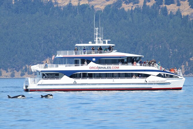 Guaranteed Whale Watch Tour from Anacortes - What you might see: orcas first, then the rest of the marine menu