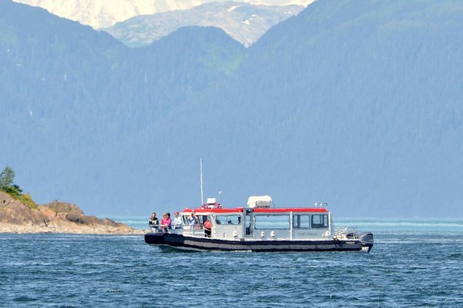 Guaranteed Whale Watching Adventure - Why Icy Strait + Point Adolphus is the winning combo