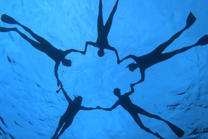 Guided Small Group Whale Watching and Swim Tour Tahiti - What You Do If Whales Stay Elusive: Lagoon Stops That Still Deliver