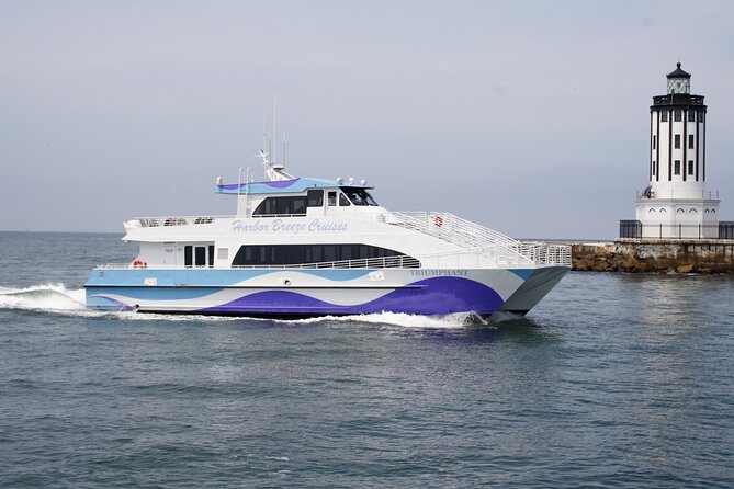 Guided Whale Watching Tour from Long Beach - Comfort and Small Friction Points (So You’re Not Surprised)