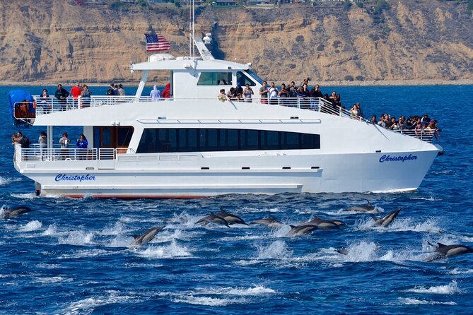 Guided Whale Watching Tour from Long Beach - Price and Value: Why $35 Can Make Sense for the Whole Group