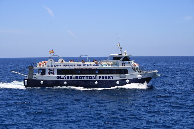 Half-Day Cruise Tour-Dolphin and Whale Watching - What’s included on board: seats, snacks/drinks, toilets, and snorkel gear