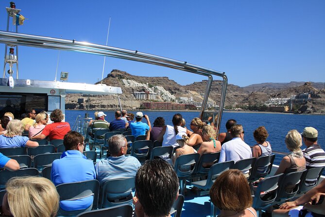 Half-Day Cruise Tour-Dolphin and Whale Watching - Boat comfort: a practical note on motion and who should plan for it