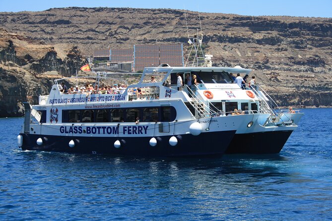 Half-Day Cruise Tour-Dolphin and Whale Watching - Price and value: is $44.65 a good deal for this half-day?