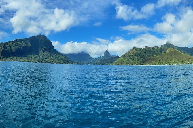 Half-Day Humpback Whales Encounter in Moorea - Key highlights to know before you go