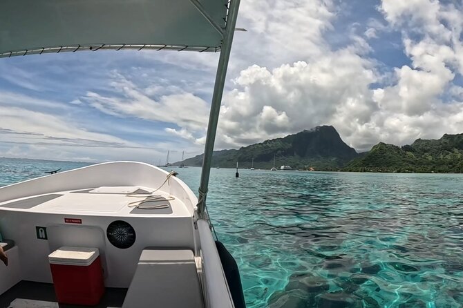 Half-Day Humpback Whales Encounter in Moorea - Swim or watch: the real choice you’ll make once on board