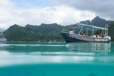 Half-Day Humpback Whales Encounter in Moorea - Safety rules that actually matter when you’re in the water