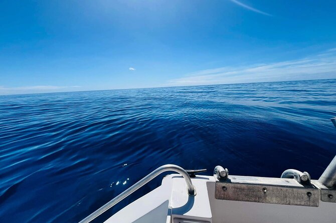 Half-Day Humpback Whales Encounter in Moorea - What the whale encounter can look like (and what to expect)