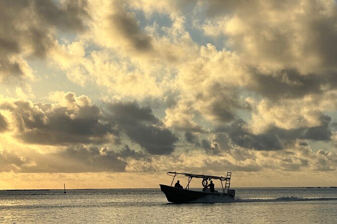 Half-Day Humpback Whales Encounter in Moorea - Price and value: what you’re paying for at $236.85