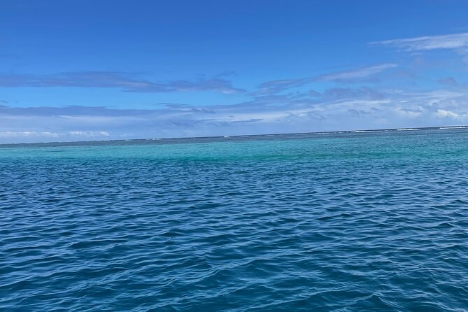 Half-Day Humpback Whales Encounter in Moorea - Getting the most from your morning or afternoon on the water