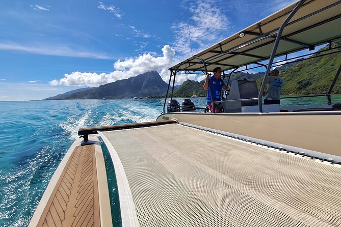 Half-Day Humpback Whales Encounter in Moorea - Weather and conditions: how they affect the swim, not the whales