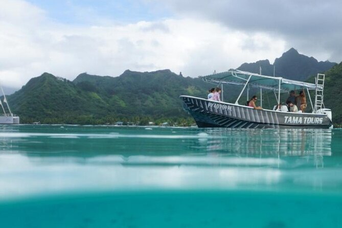Half-Day Humpback Whales Encounter in Moorea - Safety rules that actually matter when you’re in the water